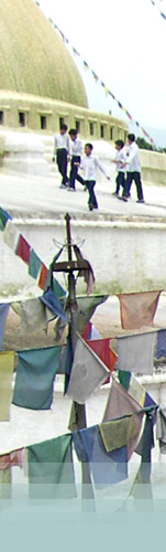 flags and children